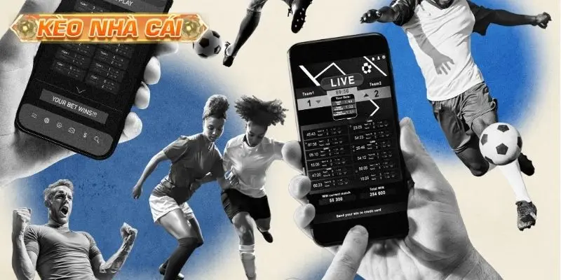 Kiến thức nhập môn kèo Total Bookings cho người mới