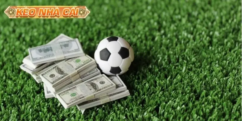 Tuyệt chiêu soi kèo 1/4 giúp bet thủ làm chủ cuộc chơi
